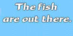 thefish.gif (36578 bytes)